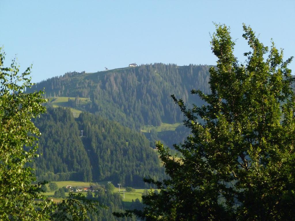 Bergfrieden Apartman Scheffau am Wilden Kaiser Kültér fotó