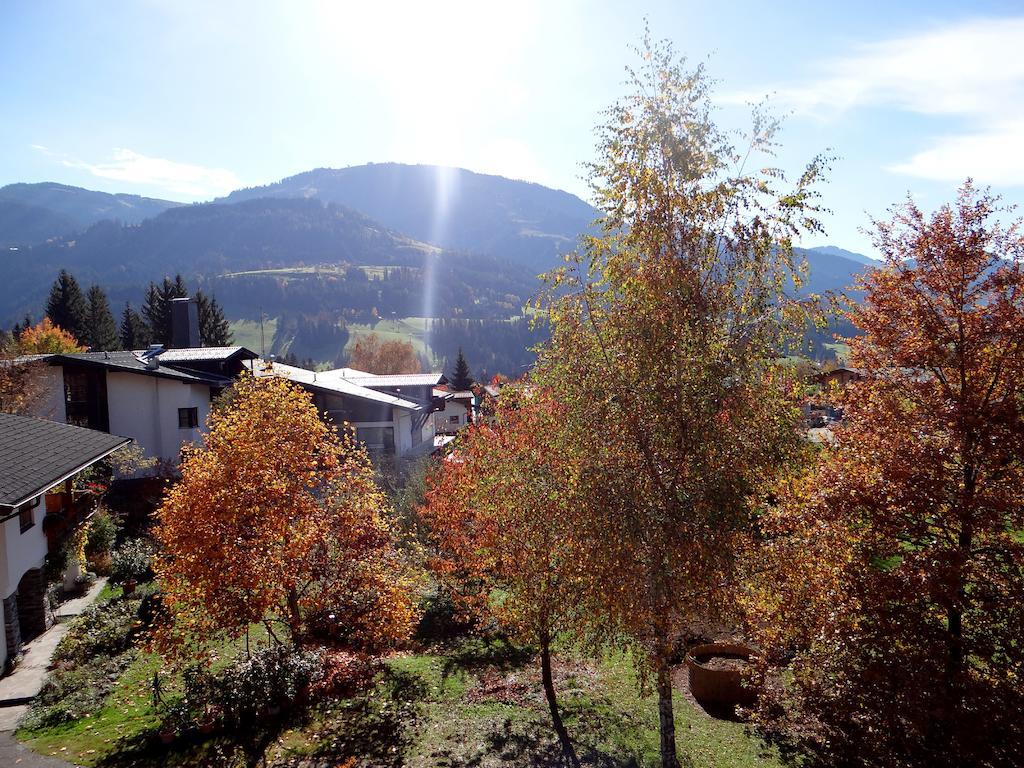 Bergfrieden Apartman Scheffau am Wilden Kaiser Kültér fotó